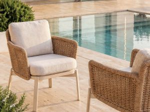 Dining Armchair series Destiny