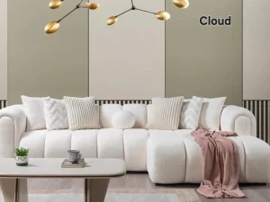 Cloud